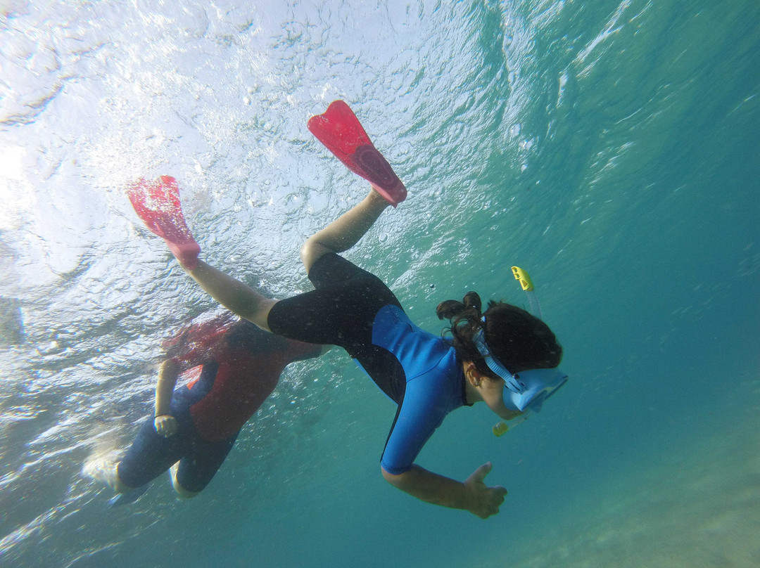 Snorkel Cabo de Gata景点图片