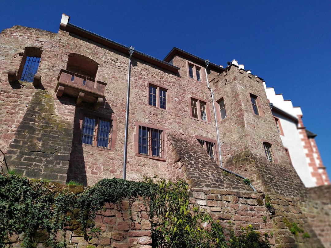 Miltenberg Castle Museum景点图片