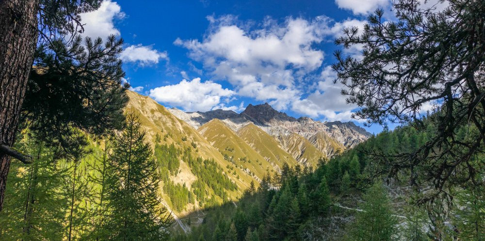 Swiss National Park (Parc Naziunal Svizzer)景点图片