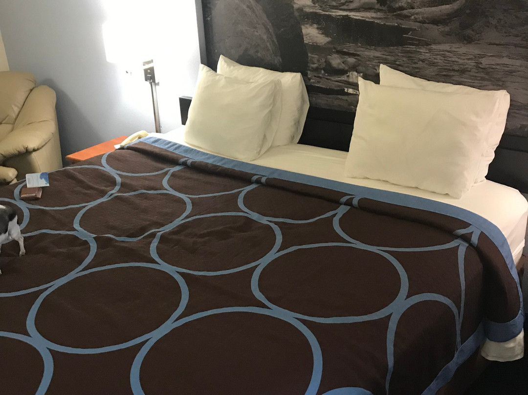 Super 8 by Wyndham Neillsville WI主图