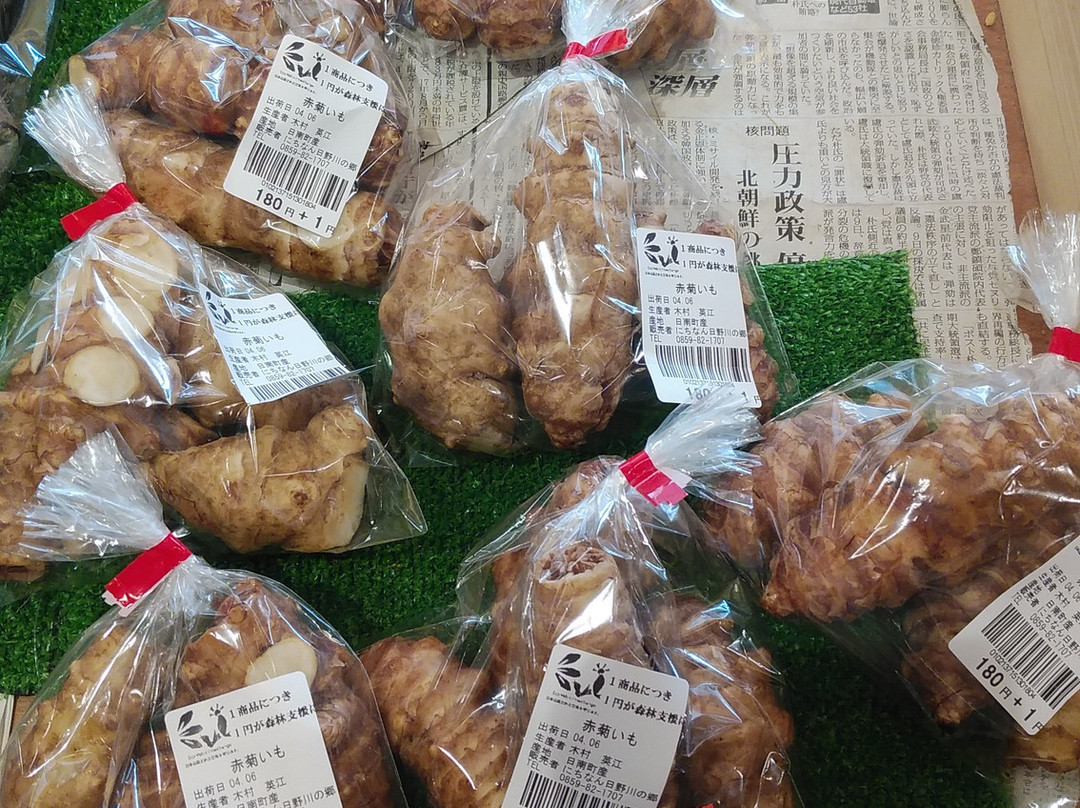 Michi no Eki Nichinan Hinogawa no Sato-日南町必去景点