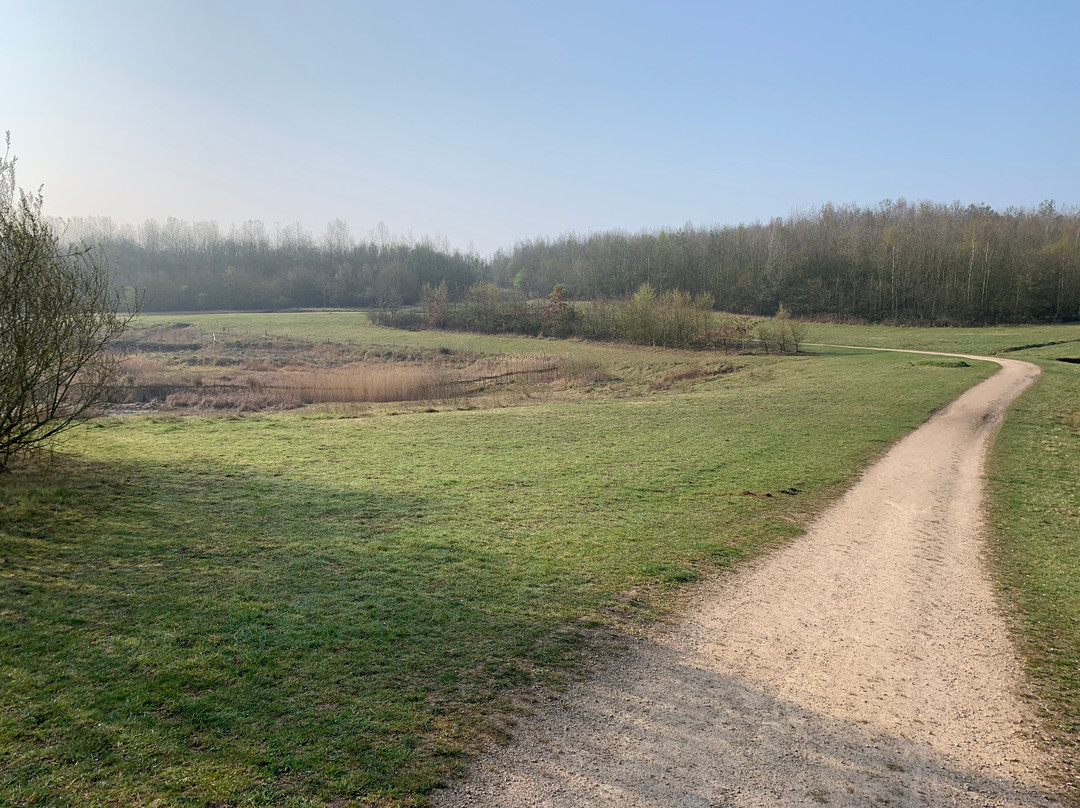 Cotgrave Country Park景点图片