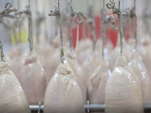 Jacky Leduc-Le Teilleul必去景点