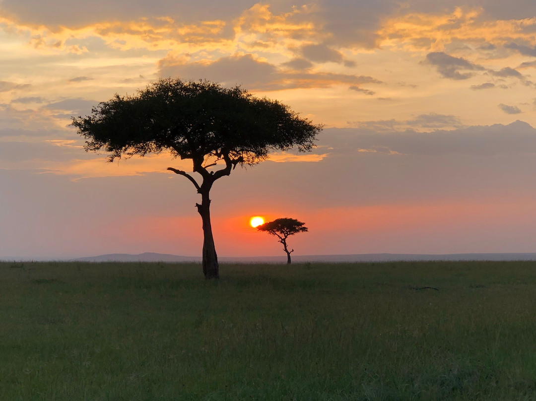 Maasai Mara National Reserve景点图片