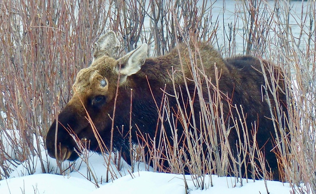 UpStream Anglers and Outdoor Adventures-杰克逊必去景点