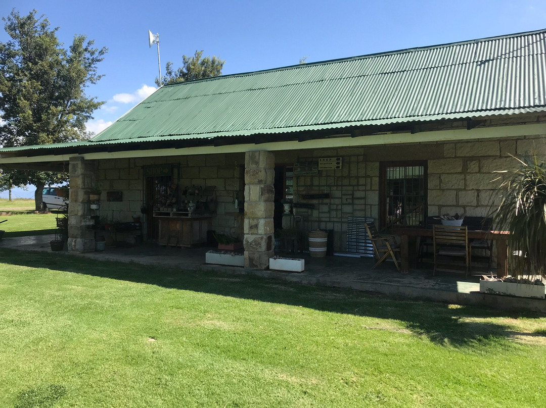 The Phatt Chef Roadside Diner and B&B主图