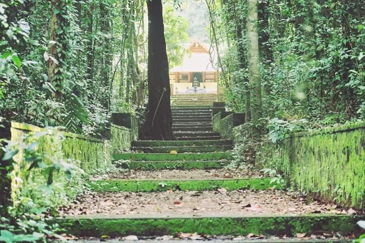 Iringole Forest Temple景点图片