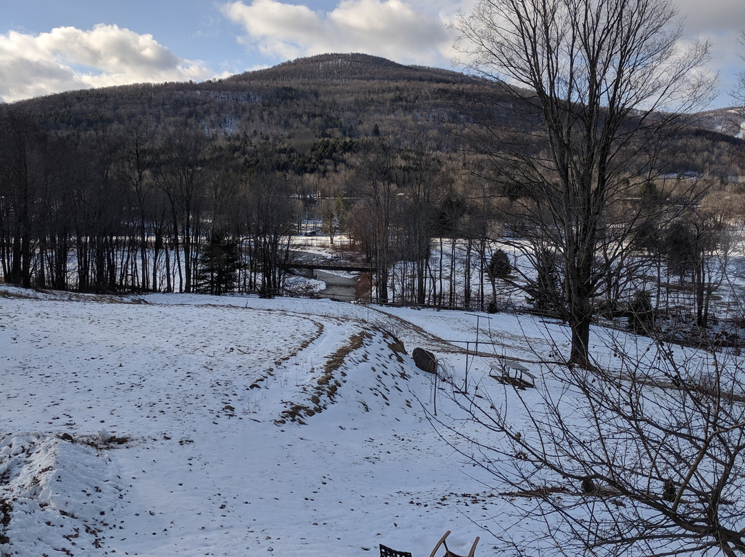 Georgian Garden Inn主图