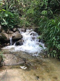 Eco Hacienda Roman-浴室