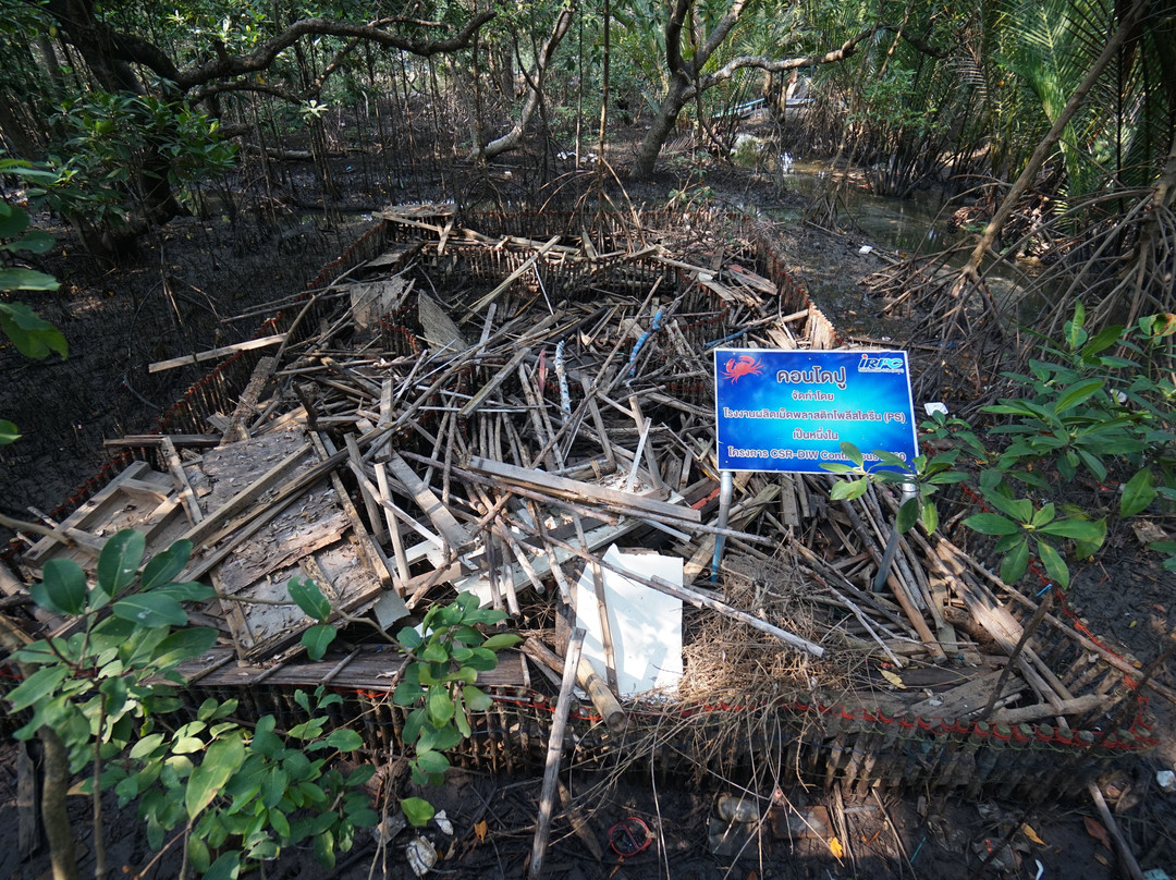Sky Tower View Point-罗勇必去景点