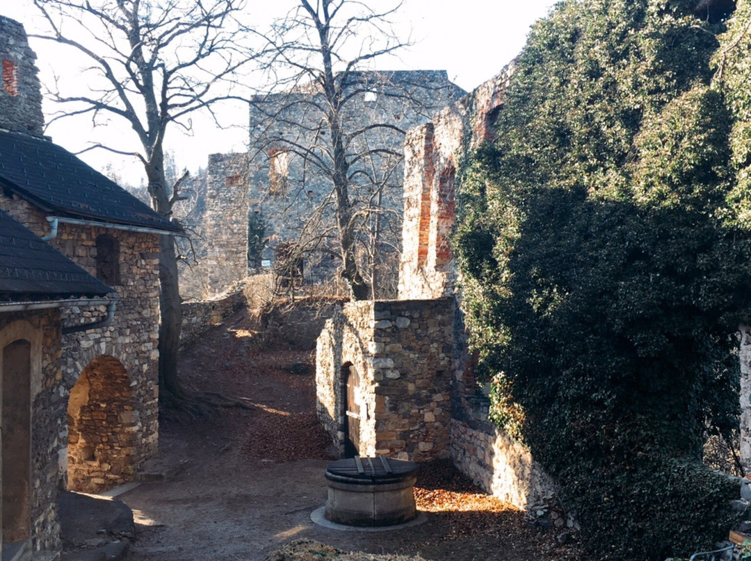 Burgruine Gösting-格拉茨城必去景点