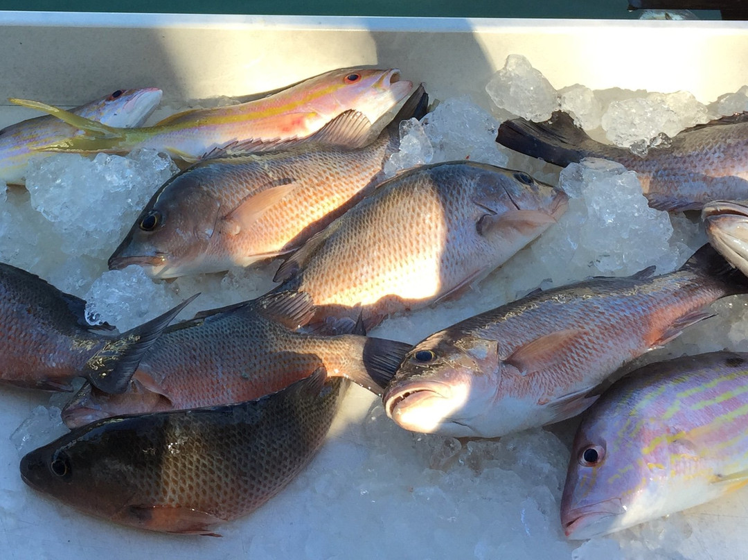 Last Cast Charters-Cudjoe Key必去景点