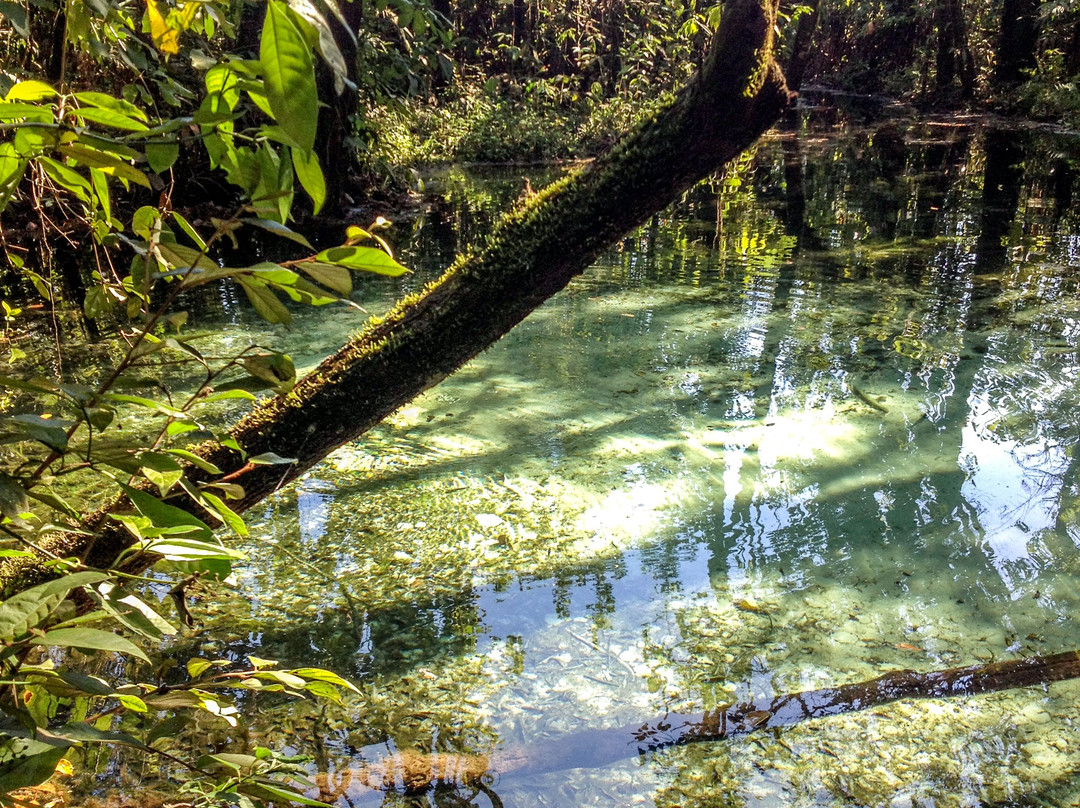 Areia que Canta-Brotas必去景点
