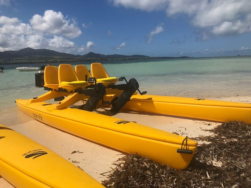 Mangrov Eco Tour-Sainte Rose必去景点