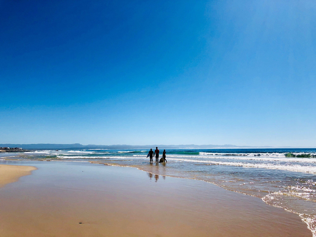 Wavecrest Surf School-杰佛瑞湾必去景点