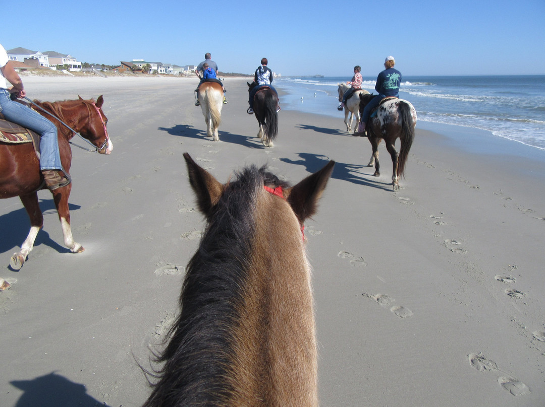 Grand Strand Horseback Riding景点图片