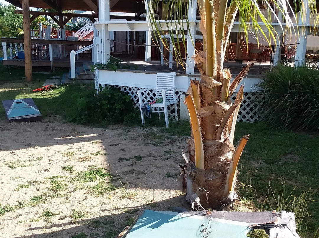 Bungalows on the Bay主图