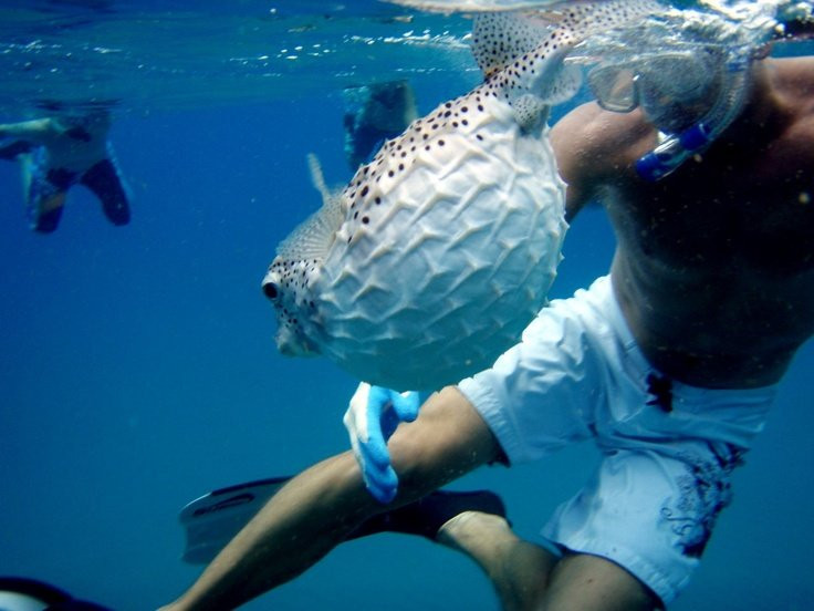 Delray Public Beach-德拉海滩必去景点
