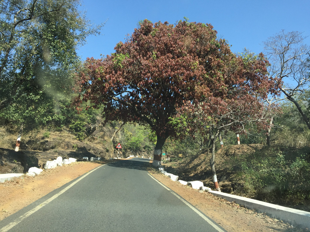 Satpura National Park guest houses主图