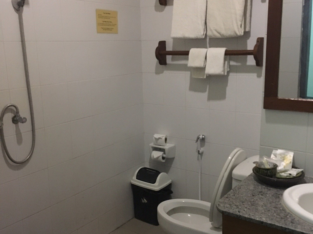 蒲甘皇后大酒店主图