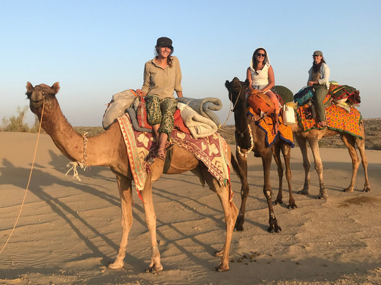 Sandman Camels景点图片