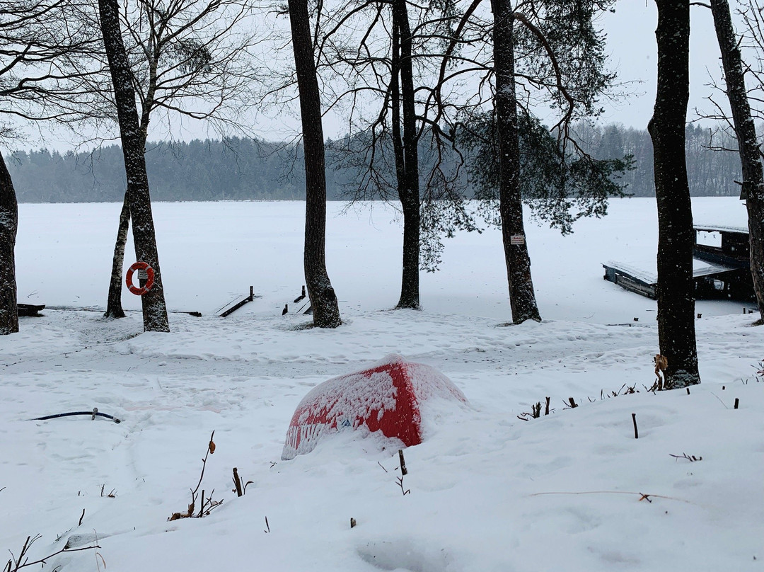 Steinsee-Moosach必去景点