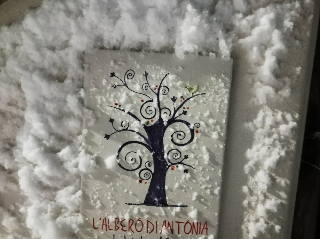 B&B L'Albero Di Antonia主图