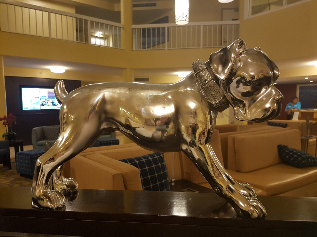 Courtyard by Marriott Key Largo主图