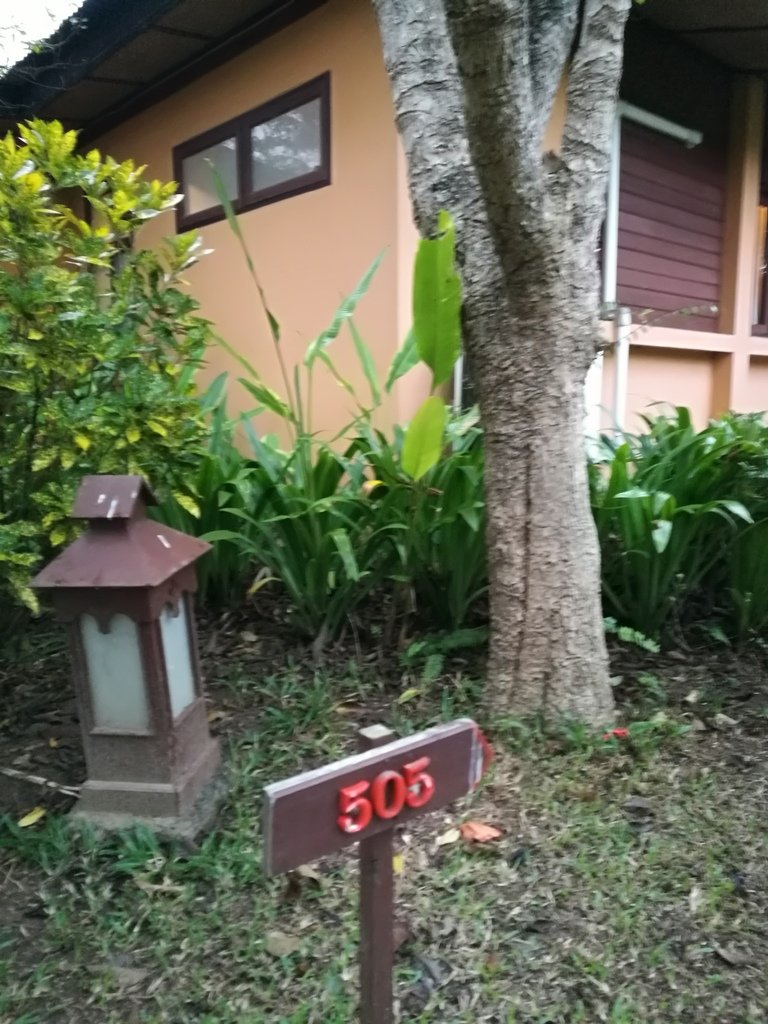 温泉疗养度假村-酒店景观