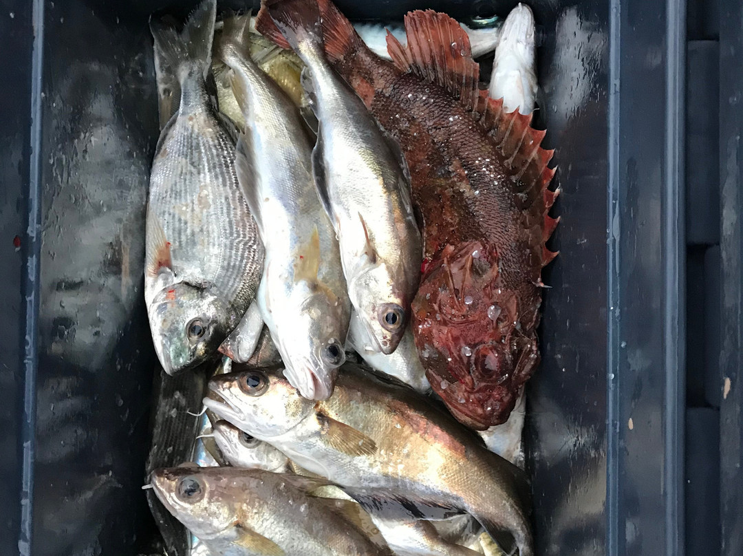 F/V Sambvca II-Marina di Ravenna必去景点