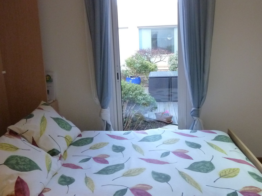 Les Deux Chenes主图