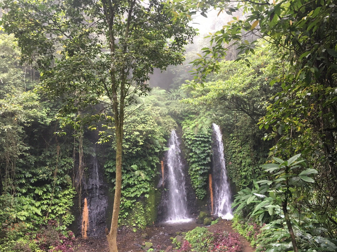 Banyu Wana Amertha Waterfall景点图片