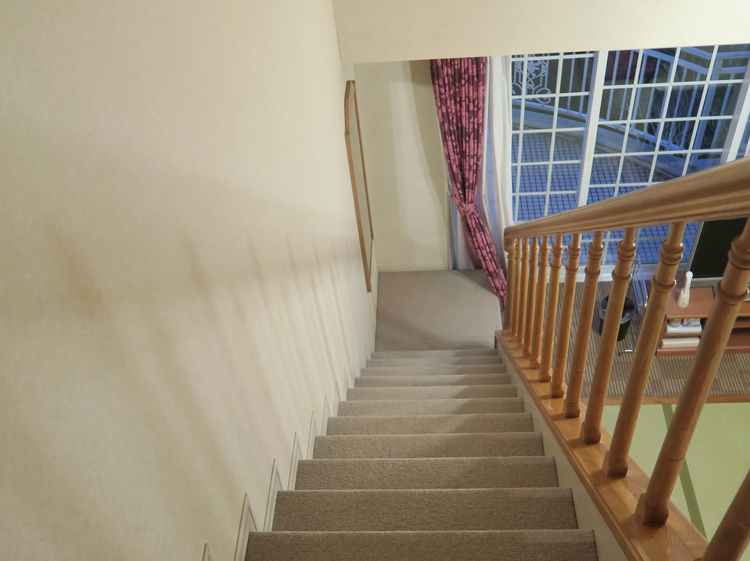 Hotel Green Plaza Tojoko主图