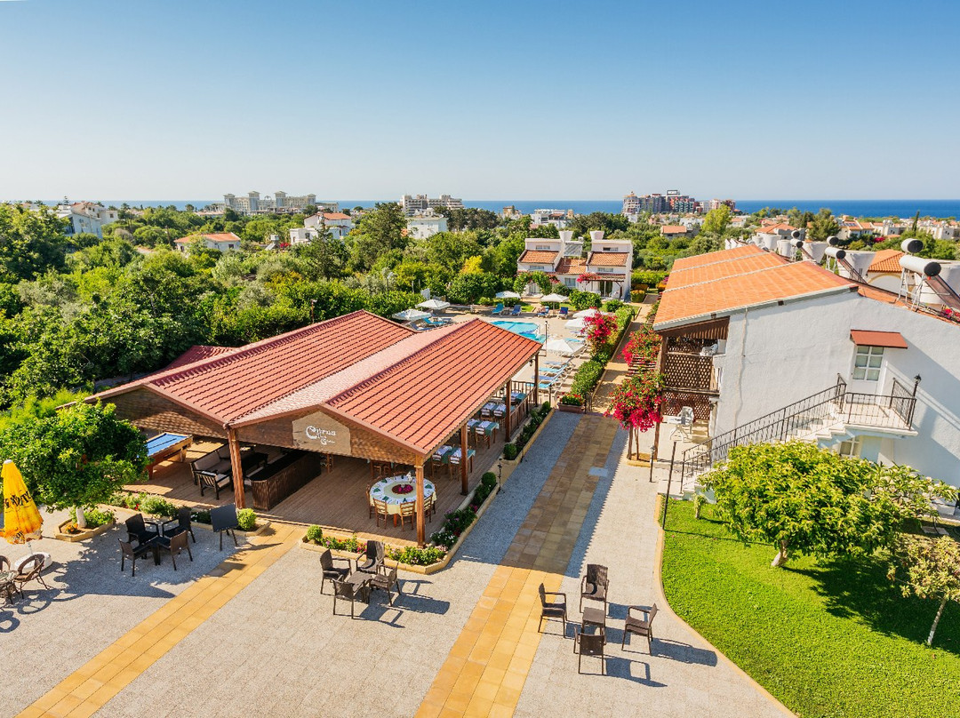 Citrus Tree Gardens主图