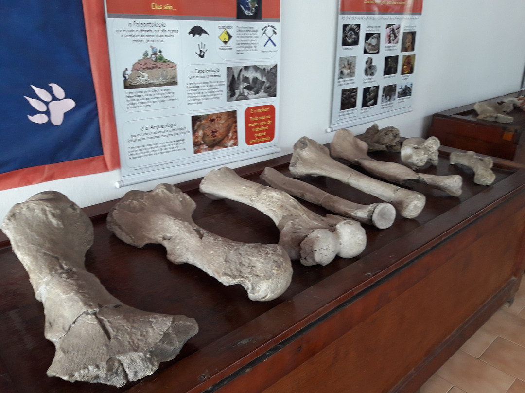 Museu Pre-Historia de Itapipoca-Itapipoca必去景点