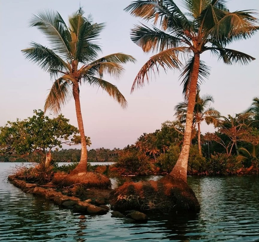 Ponnumthuruthu Island景点图片