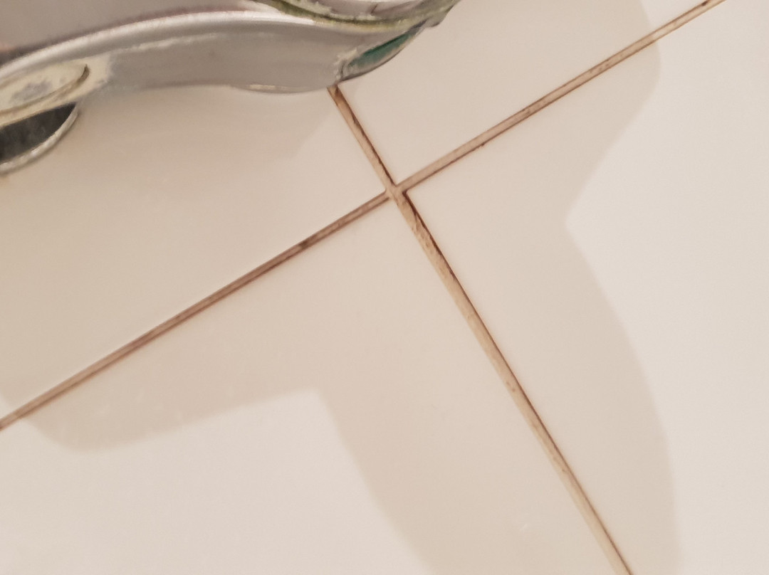 皮尔公牛酒店主图