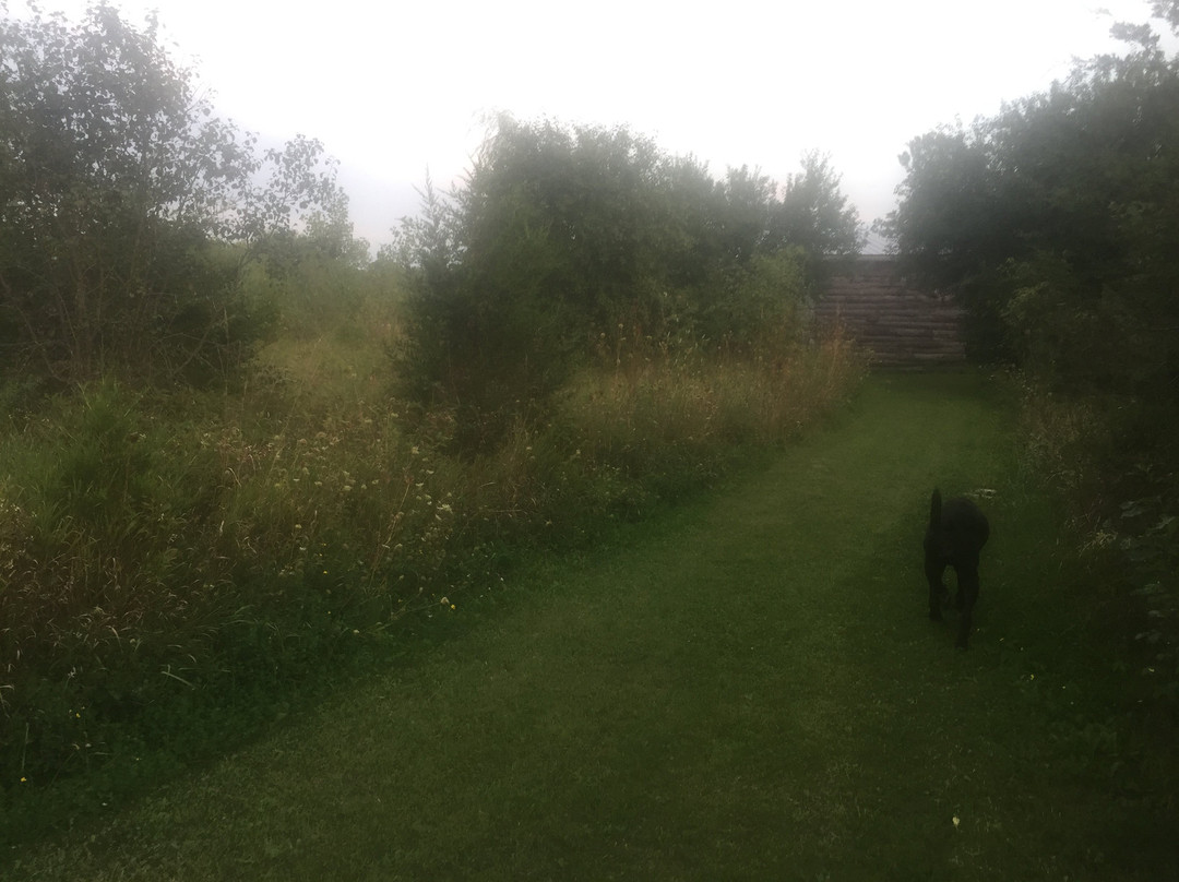 Owl's Nest Suites主图