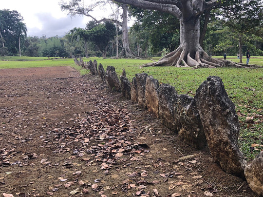 Parque Ceremonial Indigena de Caguana-波多黎各必去景点