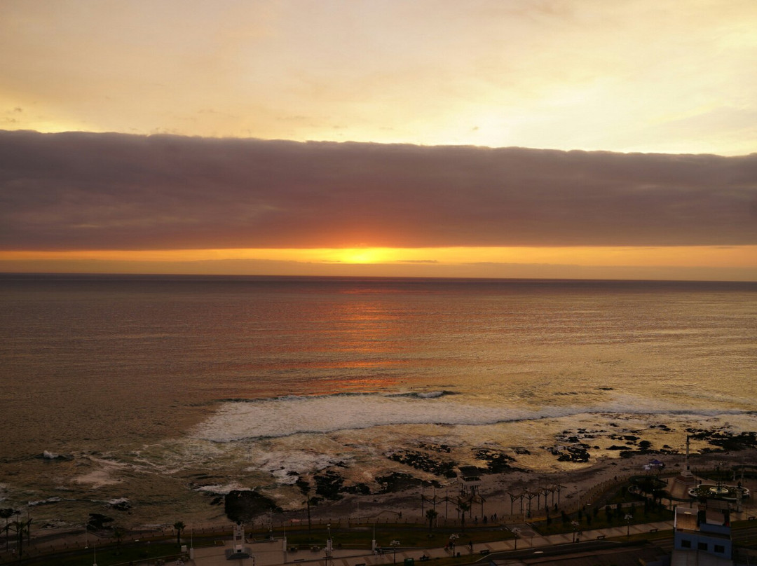 Gran Cavancha Hotel & Apartments主图