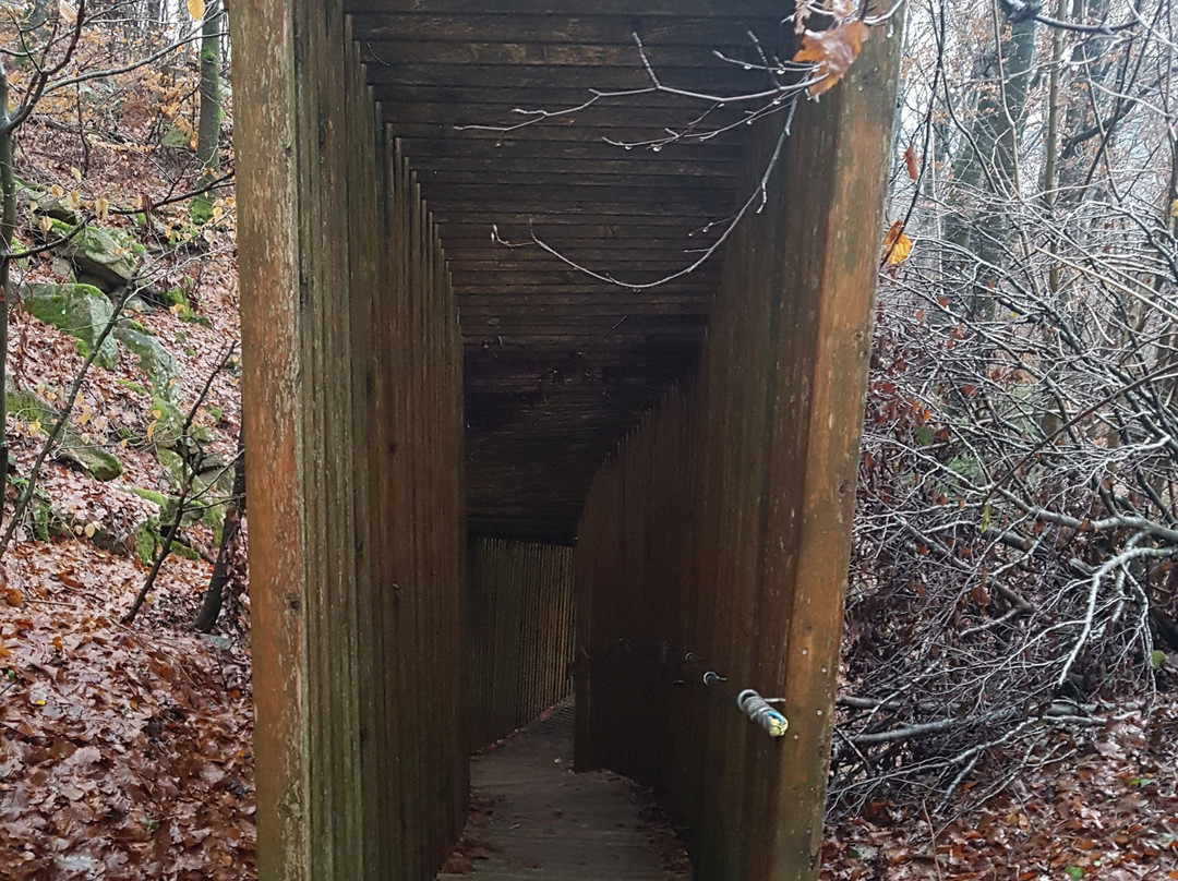 Zauberwald-Waldkirchen必去景点