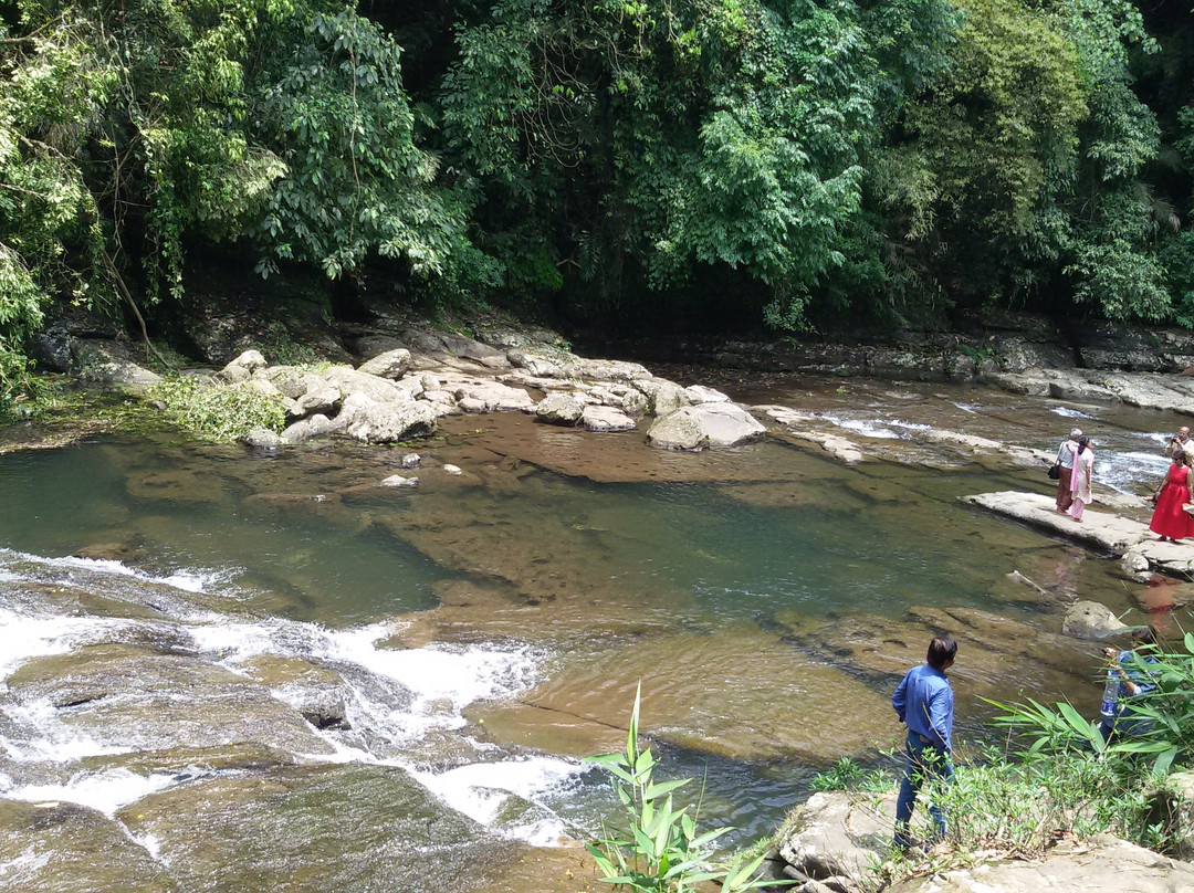 Mawlynnong Waterfall景点图片