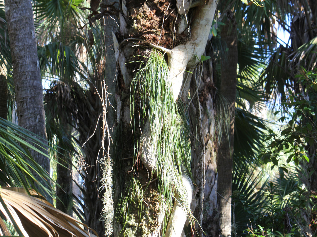 Ten Mile Creek Preserve-匹尔斯堡必去景点