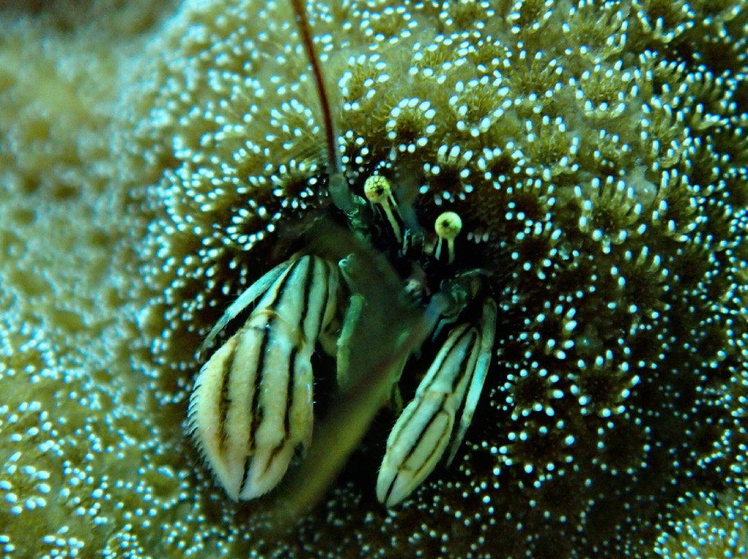 Aqua Story-宫古岛市必去景点