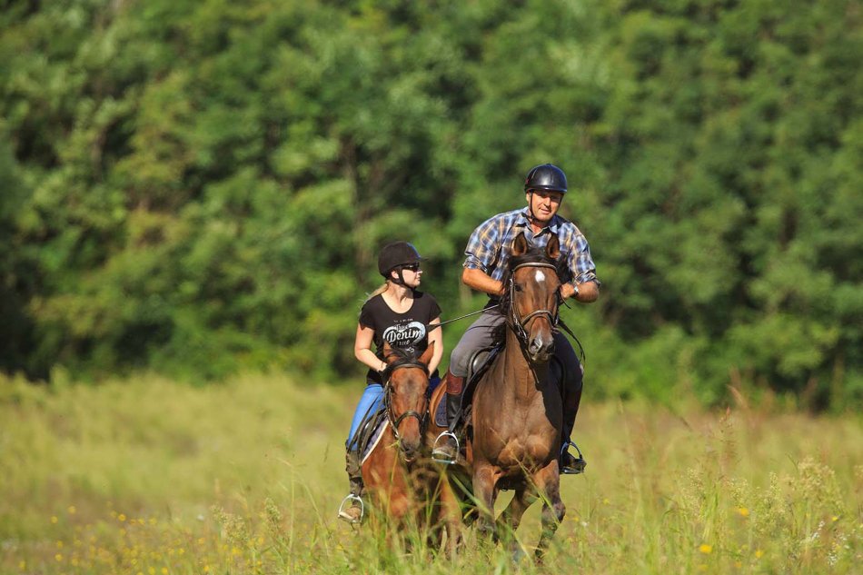 Apartments Amfora Plava Laguna-家庭/游戏区