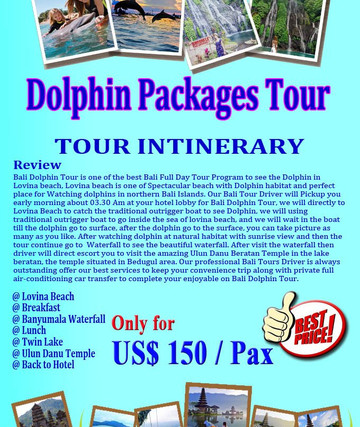 Bali Rent Tour-沙努尔必去景点