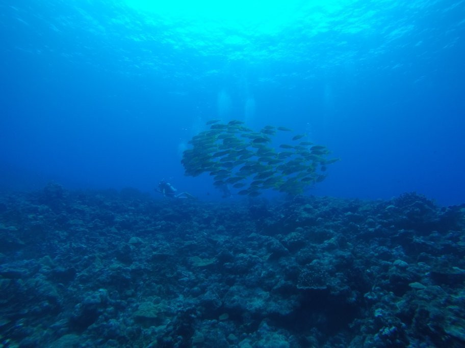 S2 Club Guam-Piti必去景点