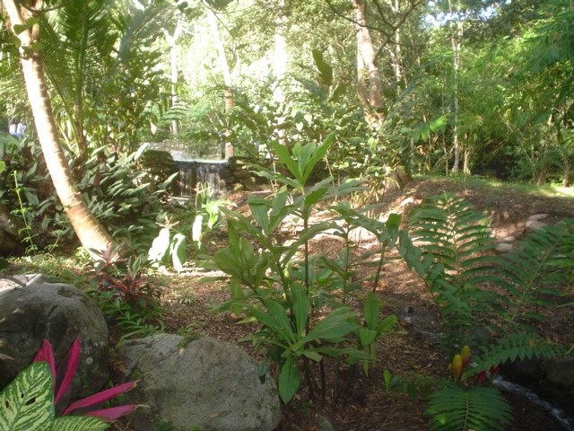 EcoLodge "La Bonita"主图