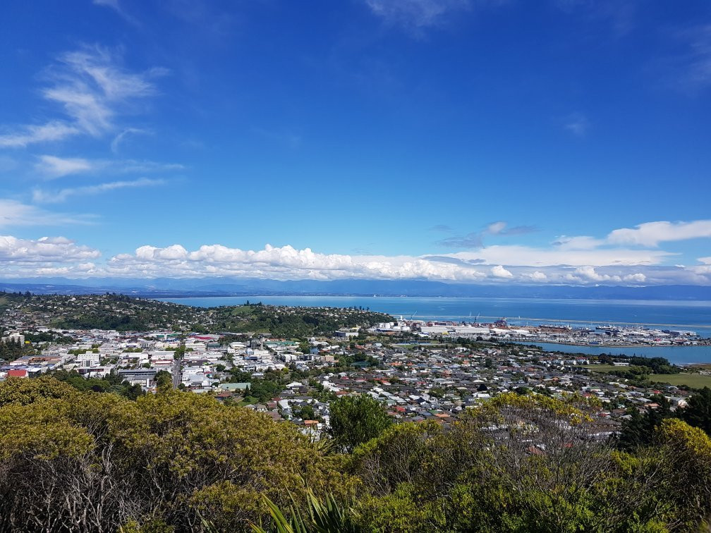 尼尔森旅游攻略图片