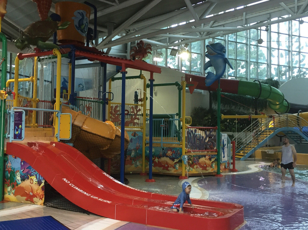 Sydney Olympic Park Aquatic Centre景点图片